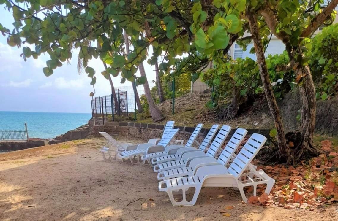 Ilet Bleu Studio Cosy Rdc Vue Mer Et Jardin - Acces Direct Plage Le Gosier  Extérieur photo