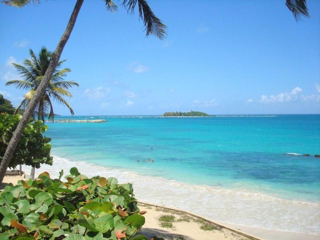 Ilet Bleu Studio Cosy Rdc Vue Mer Et Jardin - Acces Direct Plage Le Gosier  Extérieur photo
