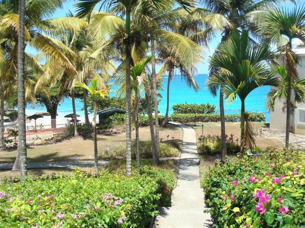 Ilet Bleu Studio Cosy Rdc Vue Mer Et Jardin - Acces Direct Plage Le Gosier  Extérieur photo