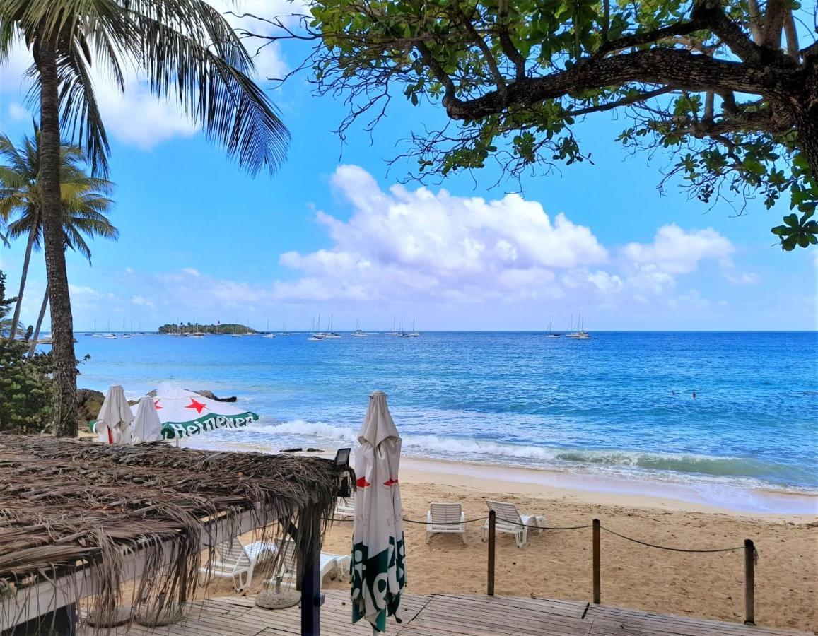 Ilet Bleu Studio Cosy Rdc Vue Mer Et Jardin - Acces Direct Plage Le Gosier  Extérieur photo